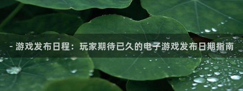 顺盈娱乐登录平台下载安装最新版：- 游戏发布日程：玩家期待已久的电子游戏发布日期指南